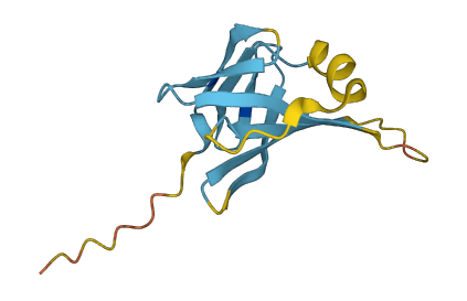 Tcl1b4 3D structure