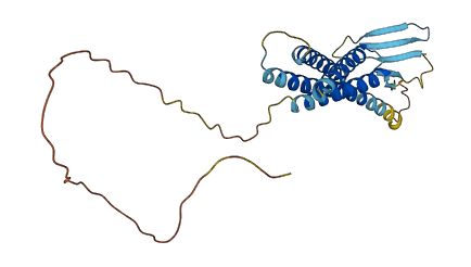 CLDN18 3D structure