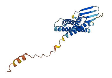 CLDN20 3D structure