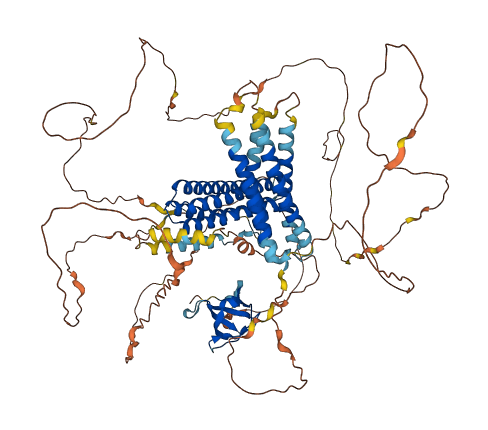 BCAR1 3D structure