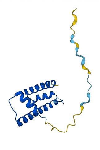H2BFS 3D structure