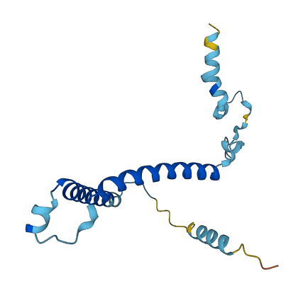 PIGP 3D structure