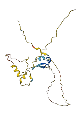 RIPPLY3 3D structure