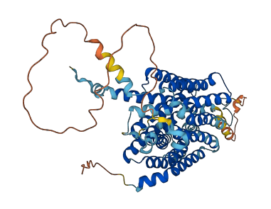 SLC37A1 3D structure