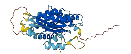 RWDD2B 3D structure