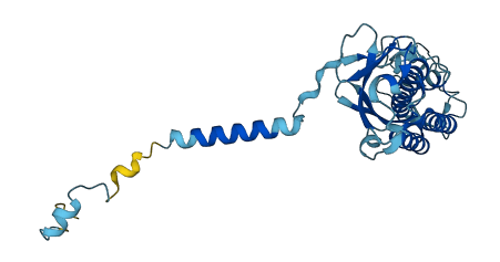 CFAP298 3D structure