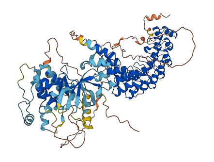 RIPK4 3D structure