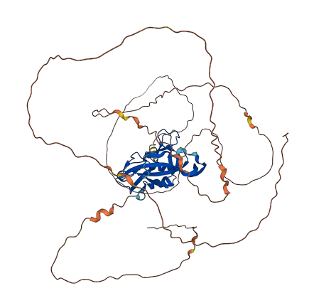 TBX4 3D structure