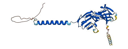 JAM2 3D structure