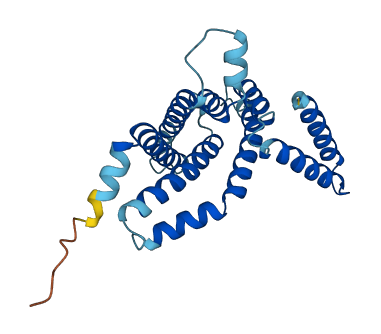 TMEM33 3D structure
