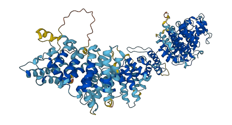 GEMIN4 3D structure