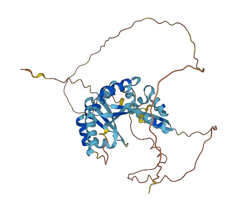 PCBP4 3D structure