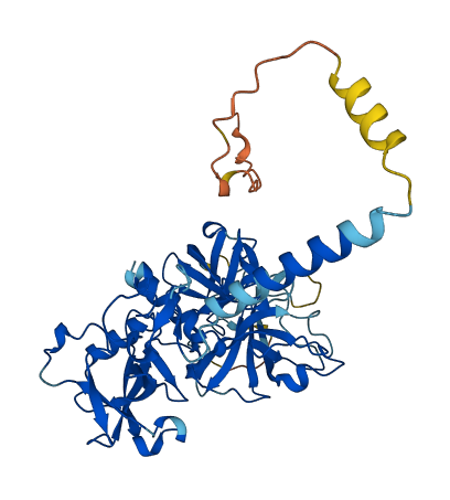 TMPRSS3 3D structure