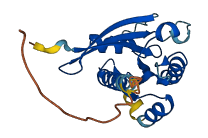 RAB38 3D structure