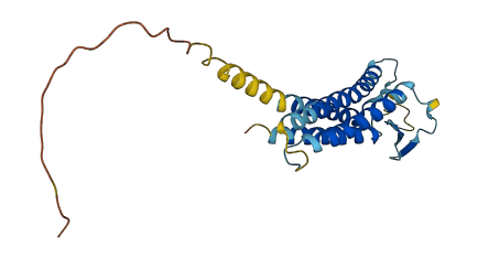 CLDN2 3D structure