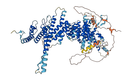 NUP107 3D structure