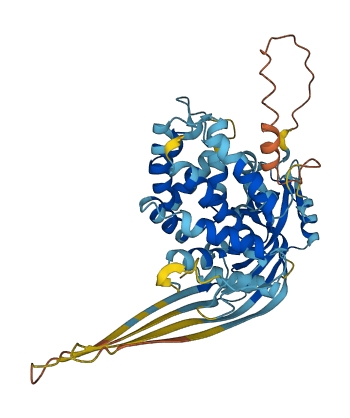 GSDMD 3D structure