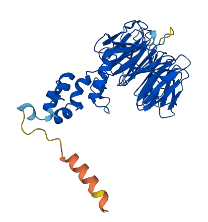 FBXW4 3D structure
