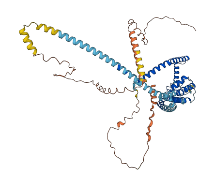 KCNK10 3D structure