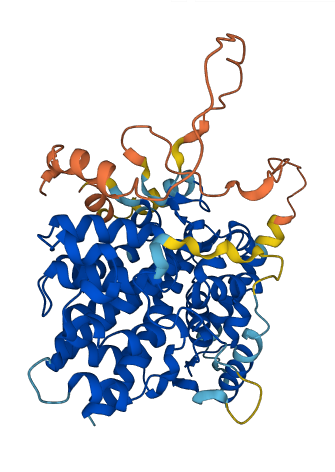 SESN2 3D structure