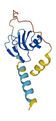 Cd59b 3D structure