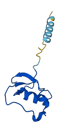 SPINK7 3D structure