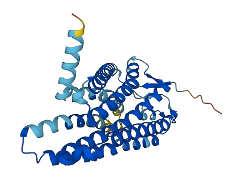 OR2B6 3D structure