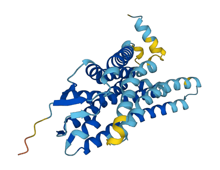 OR12D2 3D structure