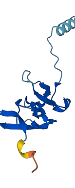 PROK1 3D structure
