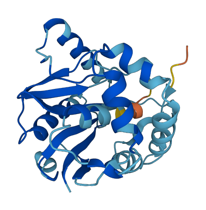 Uchl4 3D structure