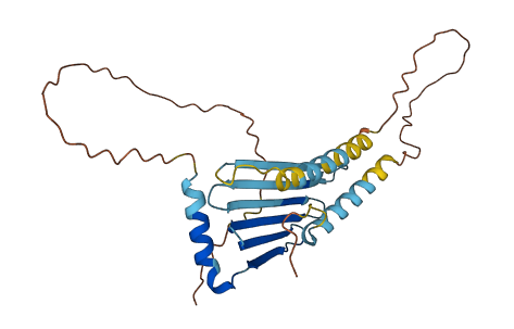 MLF1 3D structure