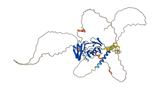 NRXN1 3D structure