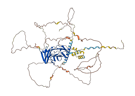 NRXN2 3D structure