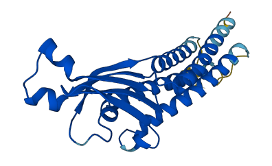 CLRN1 3D structure