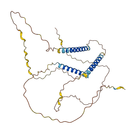 C21orf58 3D structure