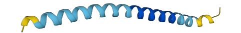 SMIM11A 3D structure