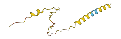 LINC00158 3D structure