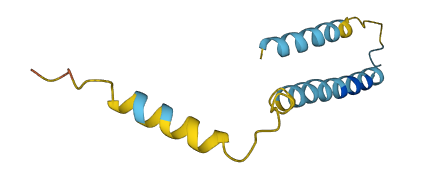 FXYD6P3 3D structure