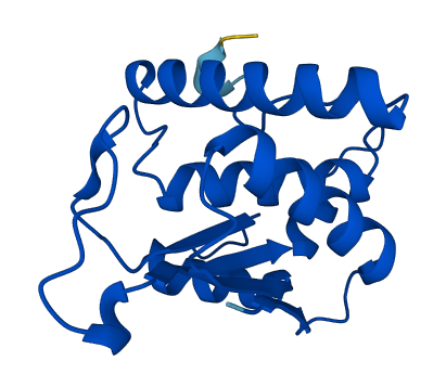 YBEY 3D structure