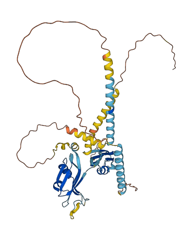 EVA1C 3D structure