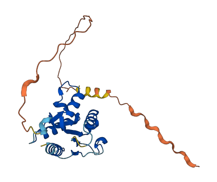TIRAP 3D structure