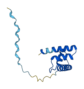 HIST1H2BD 3D structure