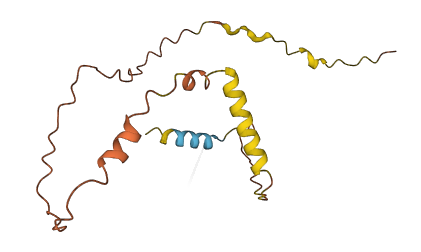 DSCR9 3D structure