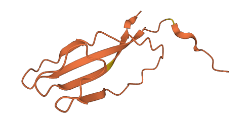 DSCR10 3D structure