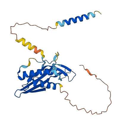 RTP1 3D structure