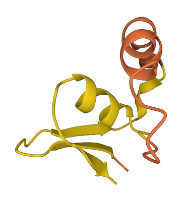 LINC00310 3D structure