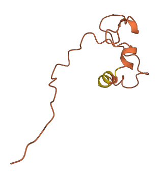 LINC00313 3D structure