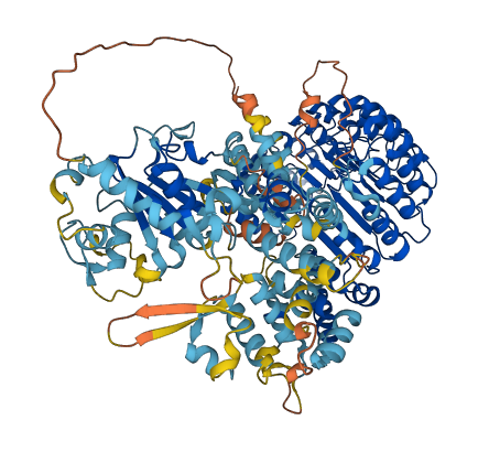 NLRP12 3D structure