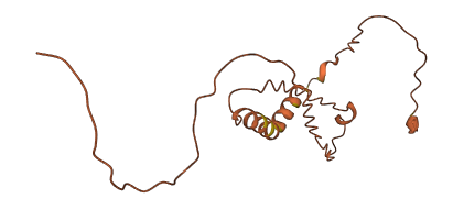 B3GALT5-AS1 3D structure