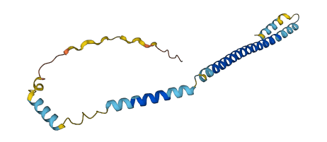CHMP4BP1 3D structure